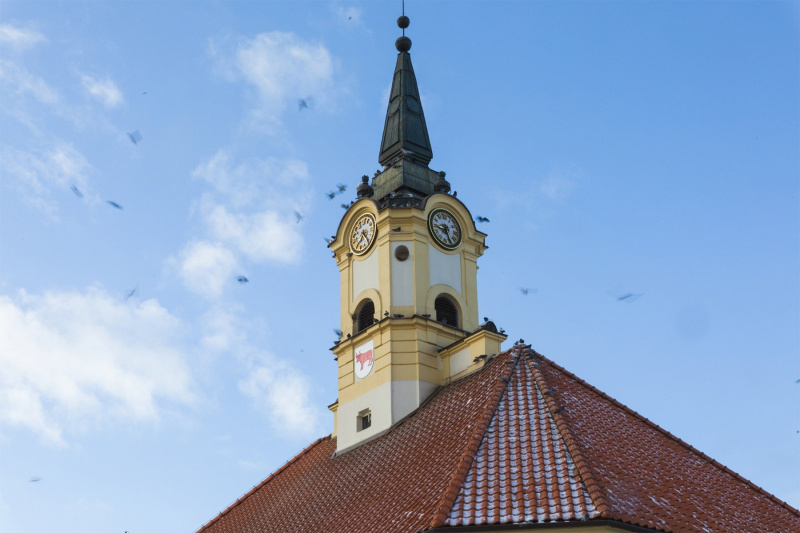 Wieża zegarowa Ratusza w Bielsku Podlaskim